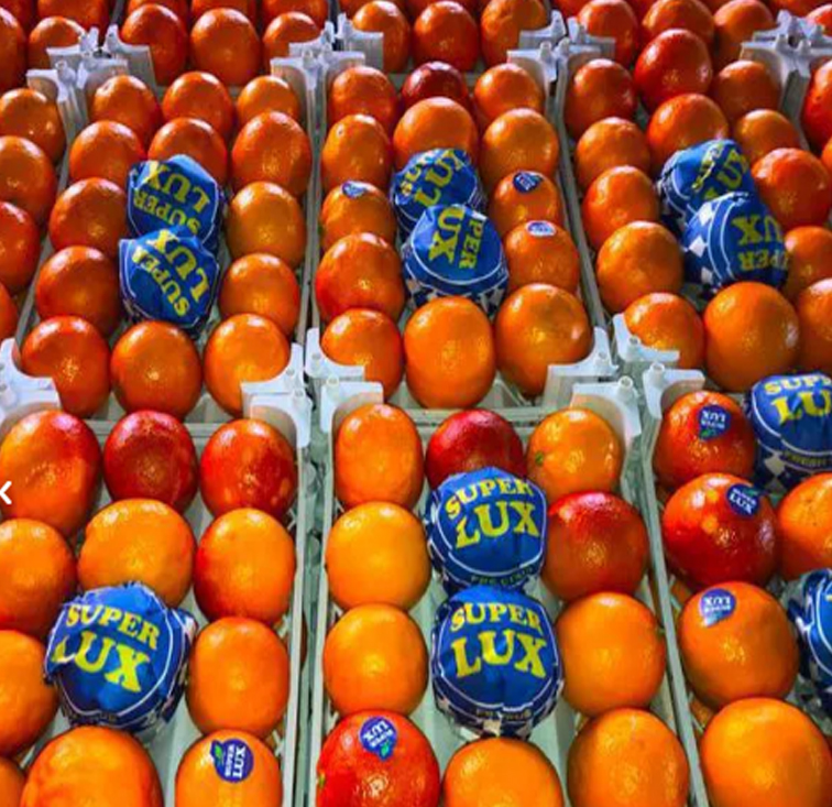 پخش عمده انواع پرتقال صادراتی به میوه فروشی ها