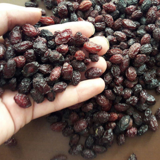 زغال اخته خشک ، امساله ، تمیز