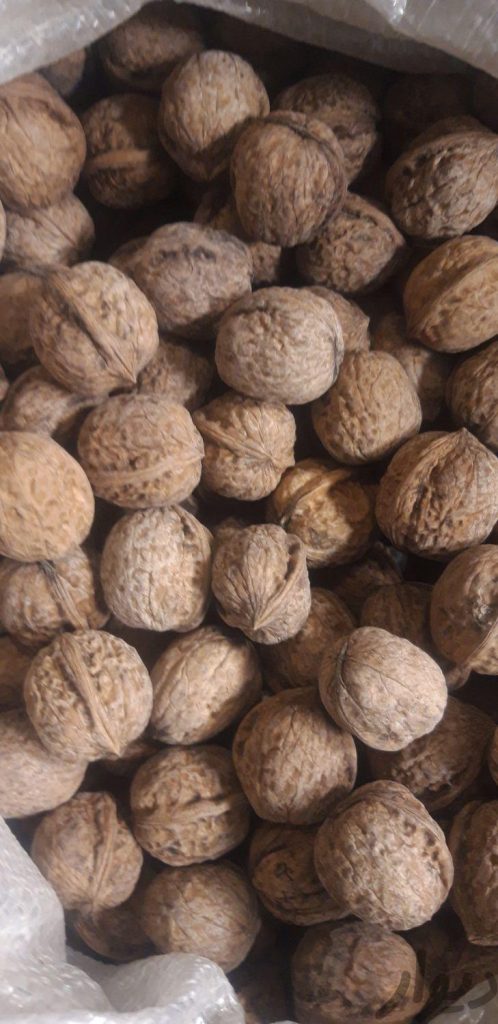 گردومنطقه غرب الموت فسنجان