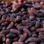 باغدار خرمای پیارم و خاصویی در حاجی اباد هرمزگان