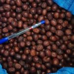 عرضه مستقیم عناب بادام سنگی و زیره سبز در تهران