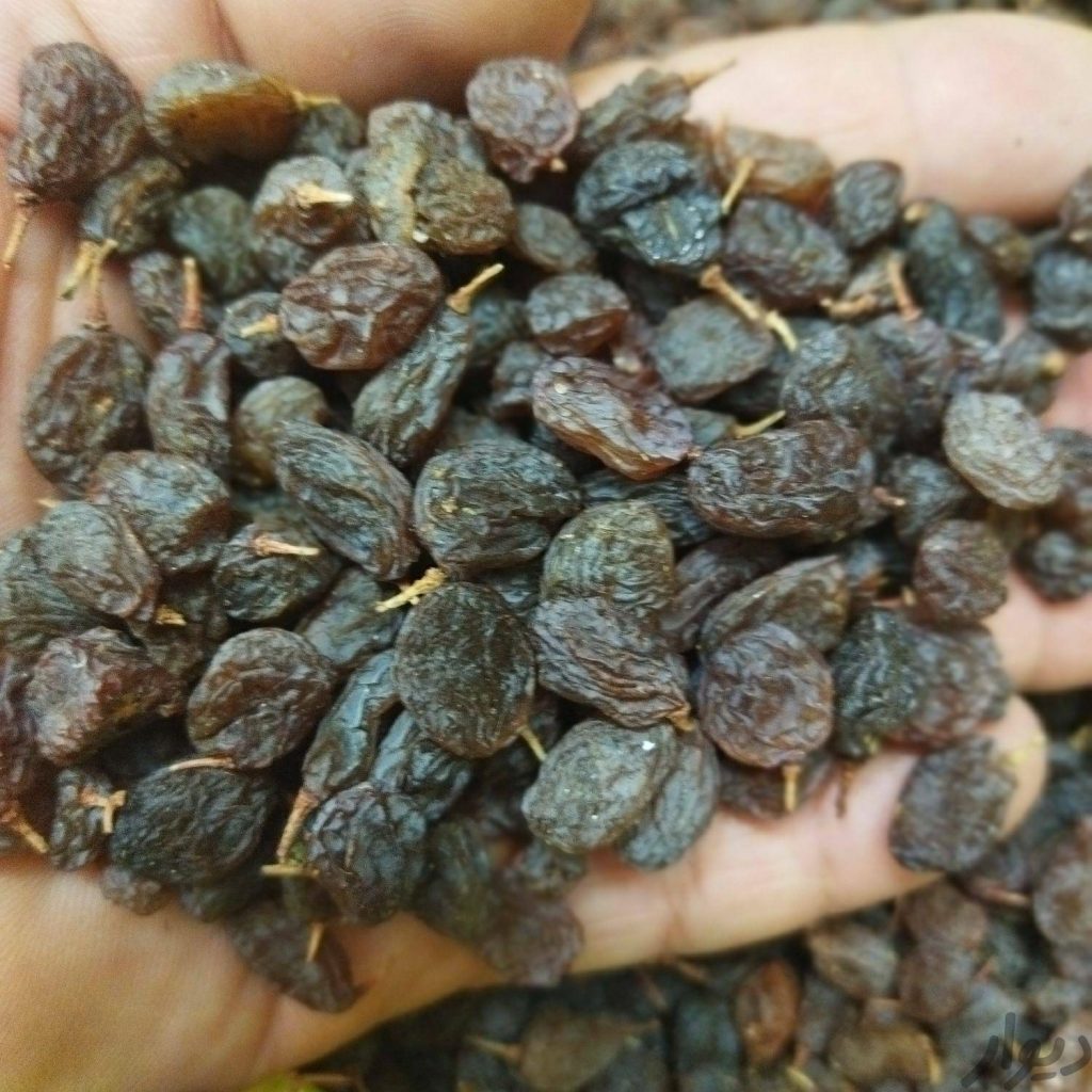 کشمش بیدانه صدر صد آفتابی ملایر و تاکستان