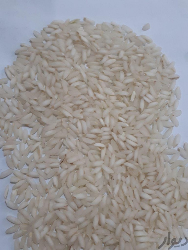 برنج عنبر بو