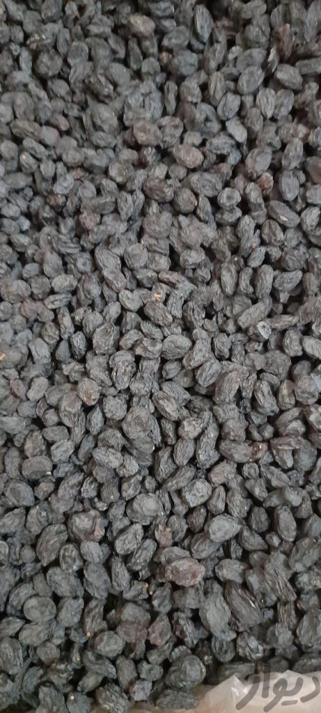 مویز درجه یک