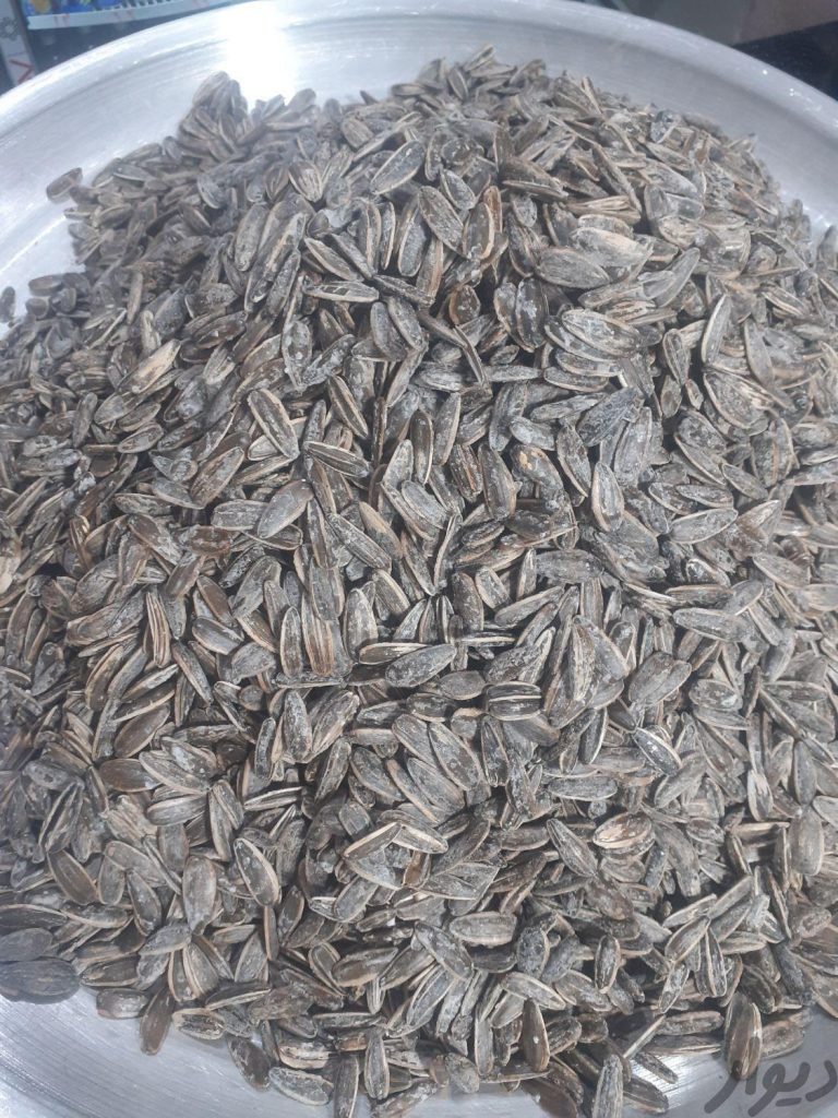 تخمه دور سفید