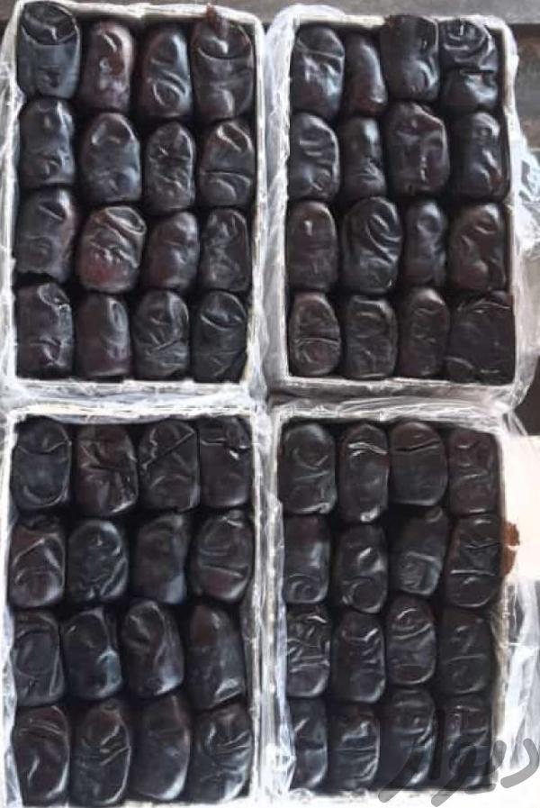(خرما مضافتی بم )
