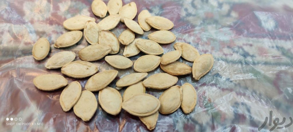 تخمه کدو خام