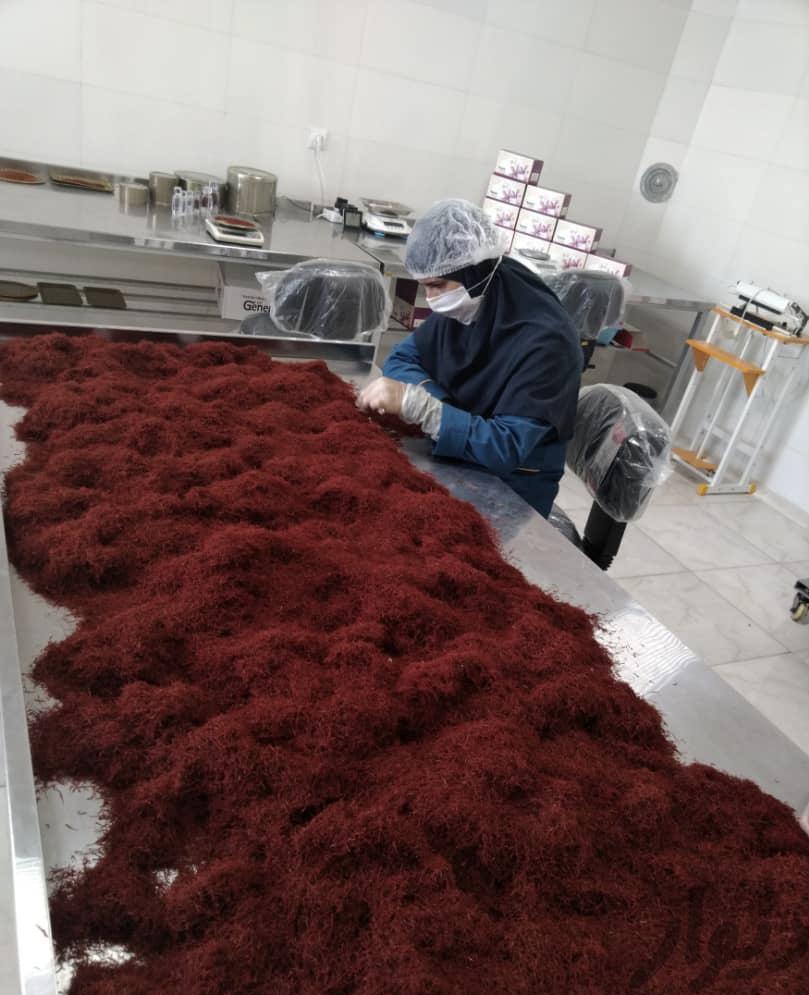 فروش کلی و جزئی زعفران گناباد