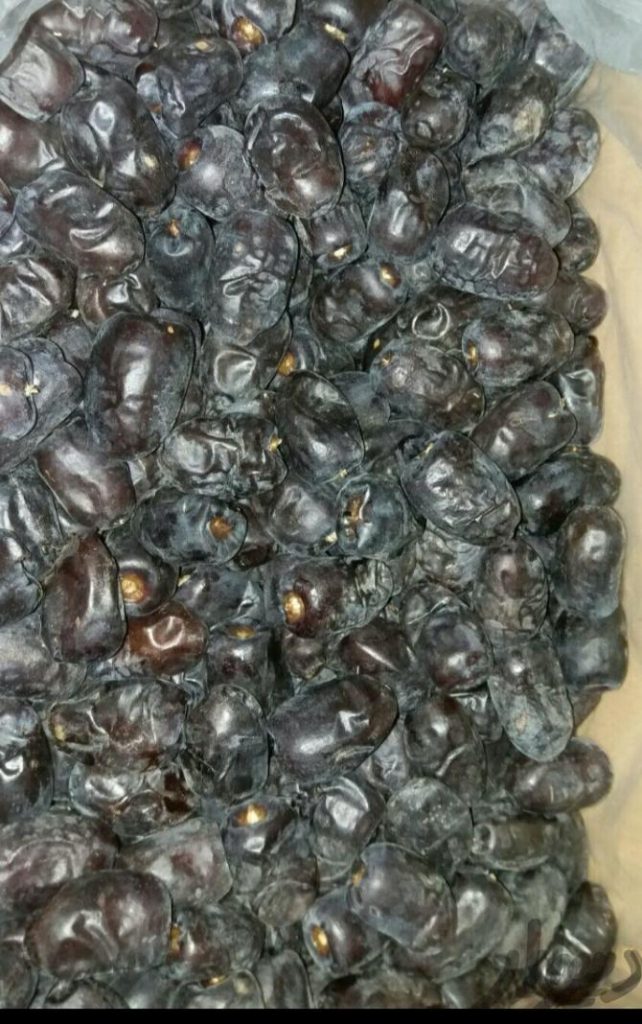 فروش ۵۰ تن خرمای مضافتی بم