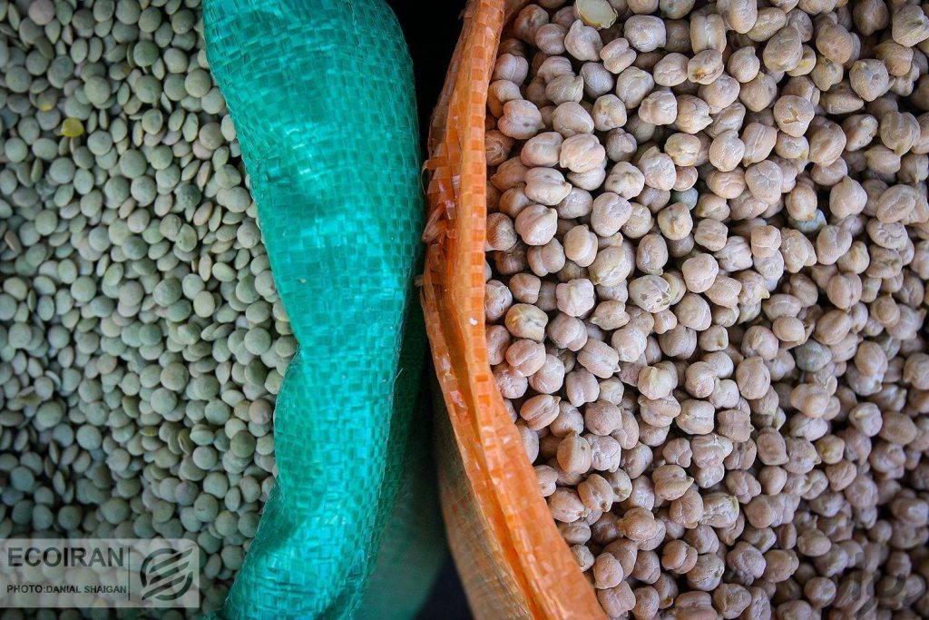 نخود تازه رسیده کرمانشاه