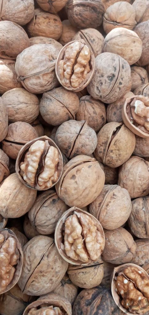 گردو تویسرکان