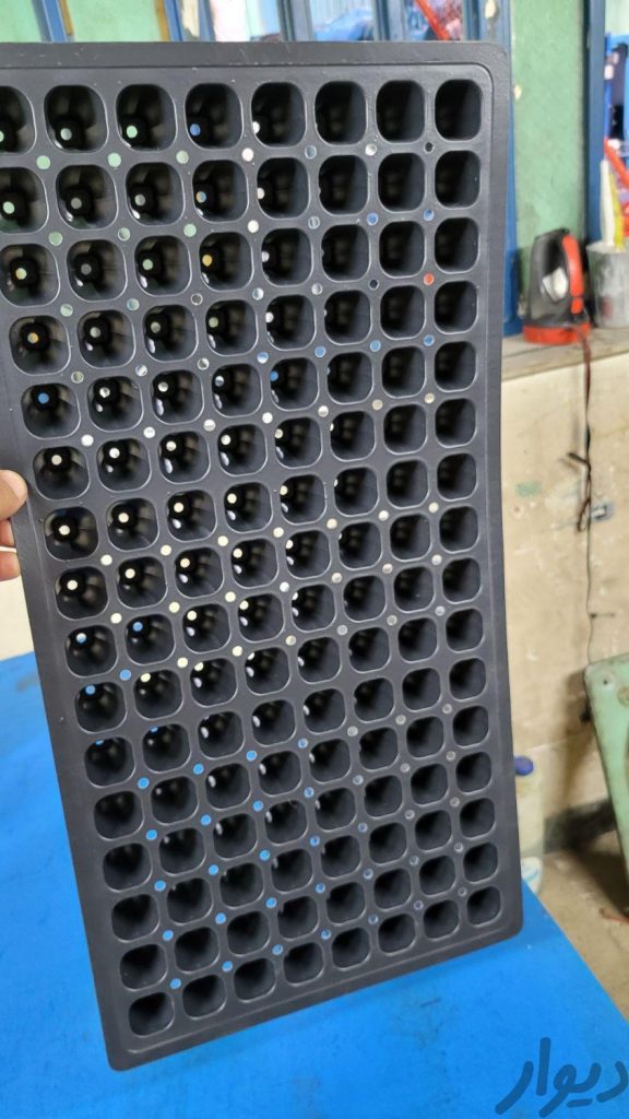 سینی نشا کشت