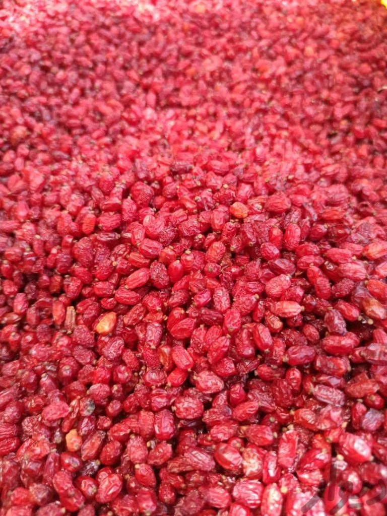 فروش عمده هل،زرشک و انواع ادویه و خشکبار