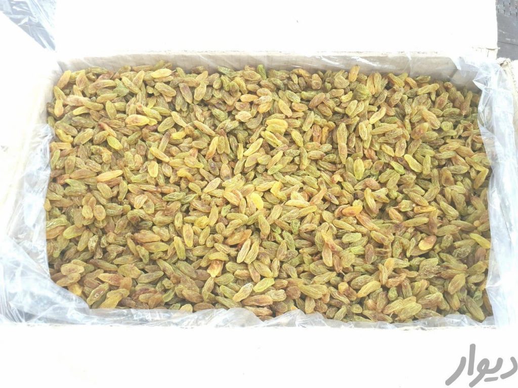 کشمش سبز خلیل آباد رینگ صادراتی