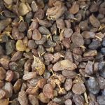 عمده فروشی کشمش و مویز افتابی و توت خشک