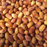 فروش خرما به صورت عمده و خرده