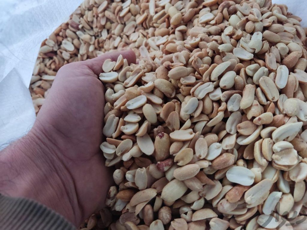 بادام زمینی کره گیری پودرنارگیل سیاهدانه مغز تخمه