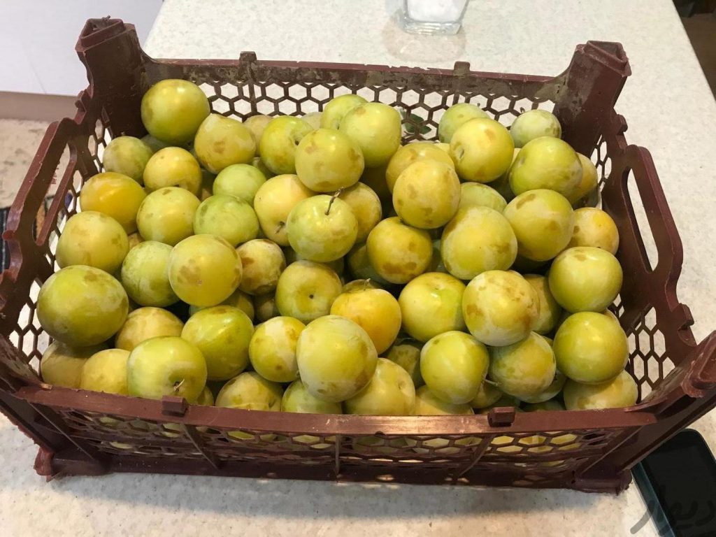 آلو سیاه و آلو قطره طلا