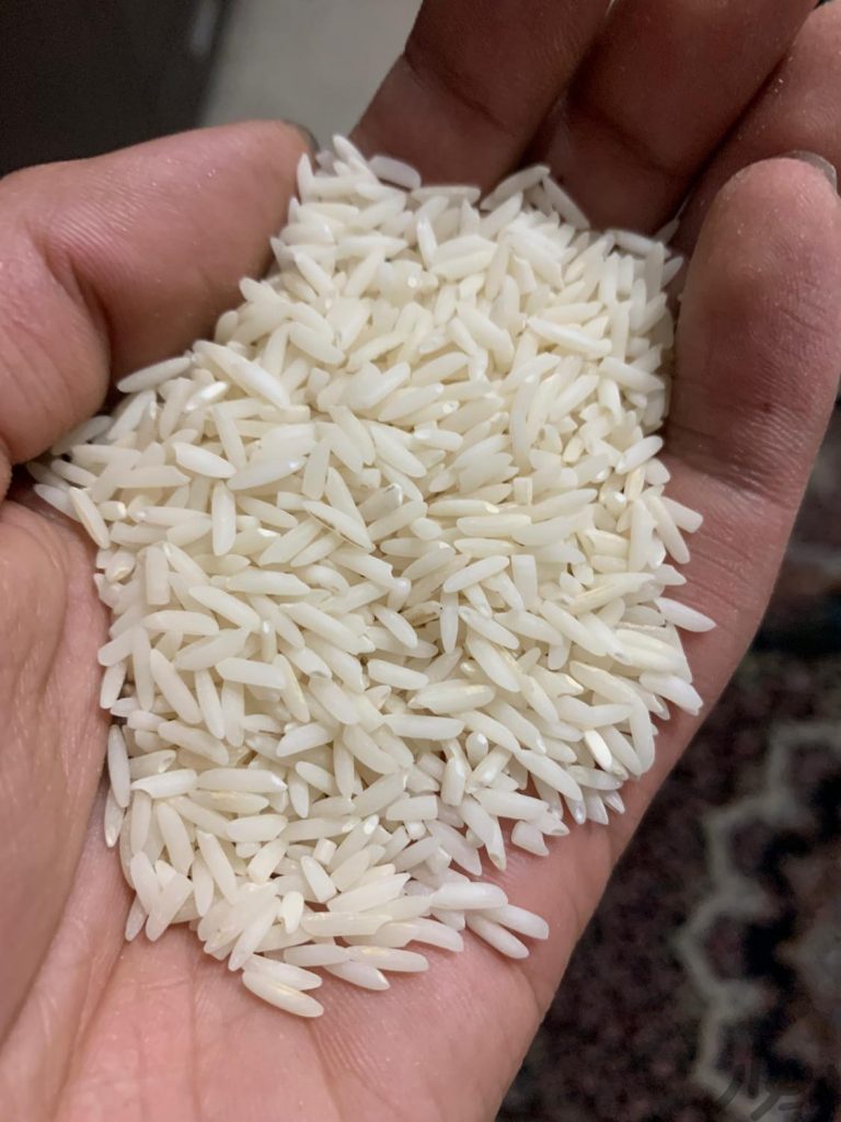 برنج هاشمی گیلان