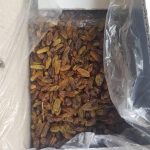 کشمش افتابی قوچان درگز کاشمر شیراز