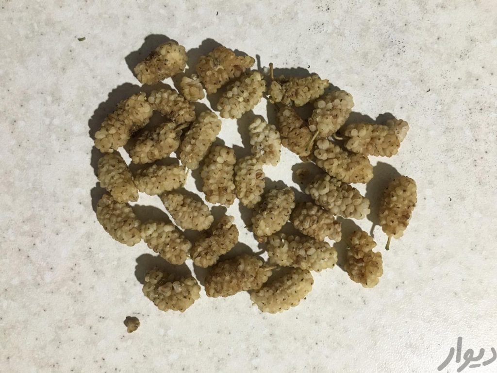 توت خشک شمرون