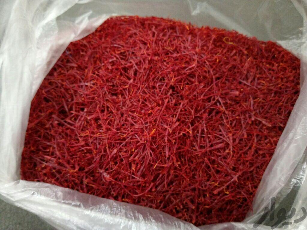 زعفران تربت حیدریه زمین خودم