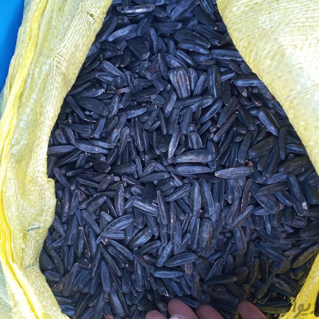 تخمه مشکی و دورسفید کانادایی خوی(خام و بوداده)