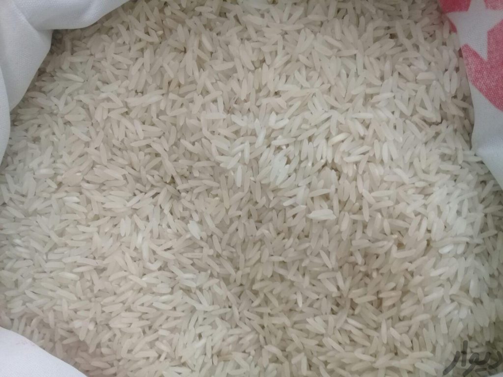 برنج طارم فجر ایرانی برای آمل