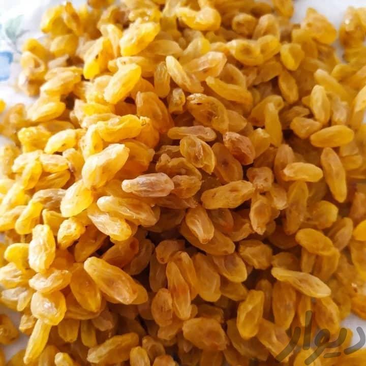 کشمش سبز کاشمر