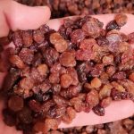 زرشک کشمش و زردچوبه خراسان در تهران