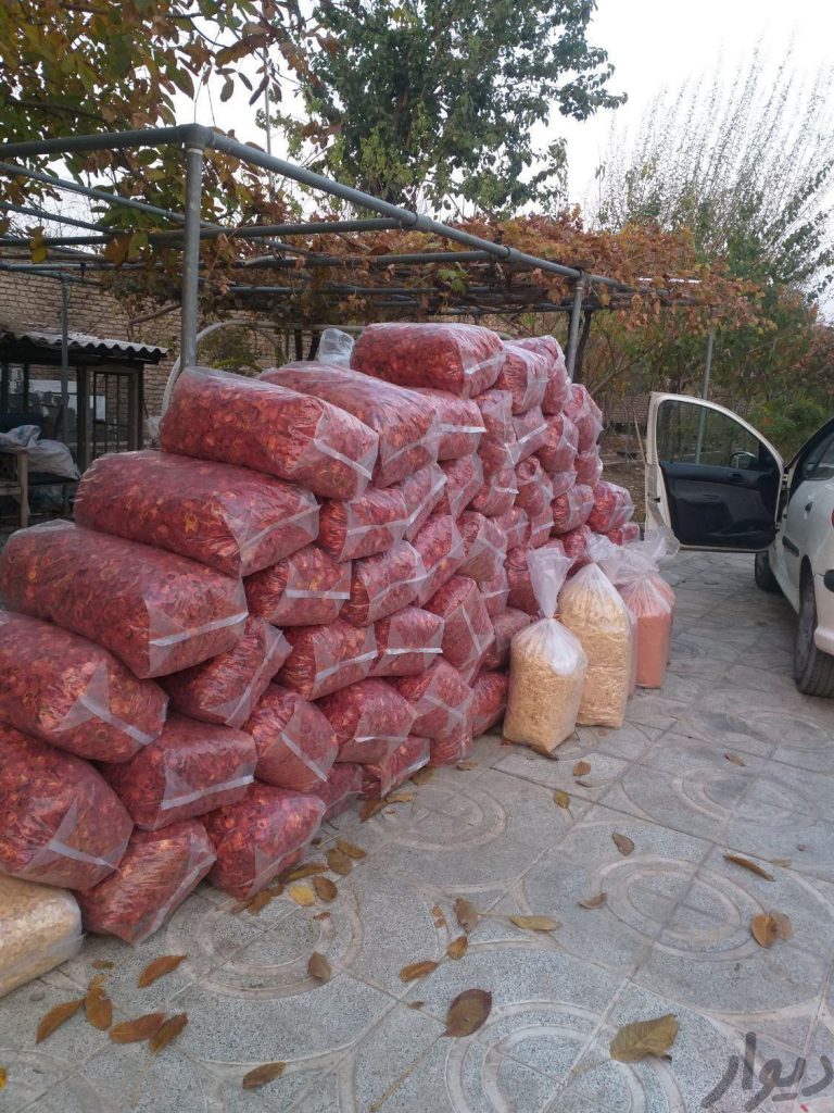 گوجه خشک پیاز خشک پاپریکا قارچ خشک لبو خشک