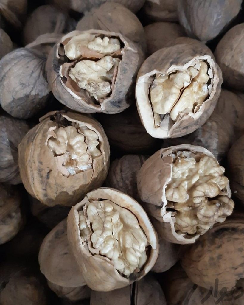 گردو محصول همدان