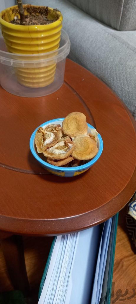 برگه قیسی اعلابدون موادنگهدارنده کاملا اورگانیک