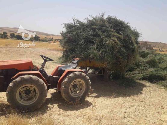 تراکتور کمرشکن باغی اصل ایتالیا 930