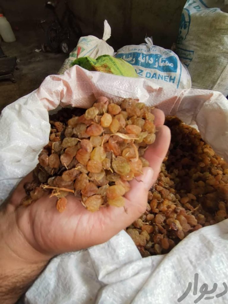 کشمش آفتابی قوچان کاشمر شیره انگورخرما