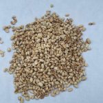 کنجد روغن گیری، کنجد ارده، سیاهدانه، بادام زمینی