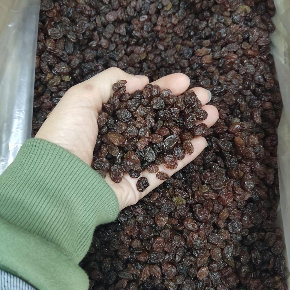 کشمش پلویی کشمش سبز تخمه سنقری خرما راهدی