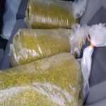 پسته کوهی(بنه)