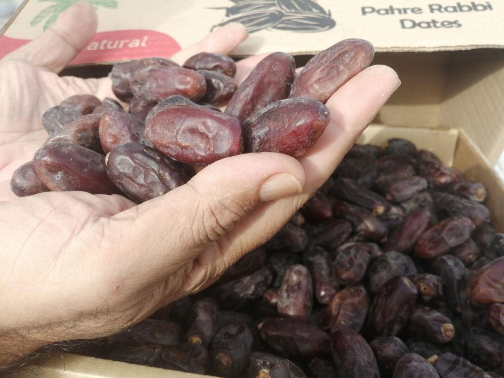 خرما درجه یک