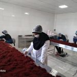 زعفران ماهوک زعفران (زعفران فله)