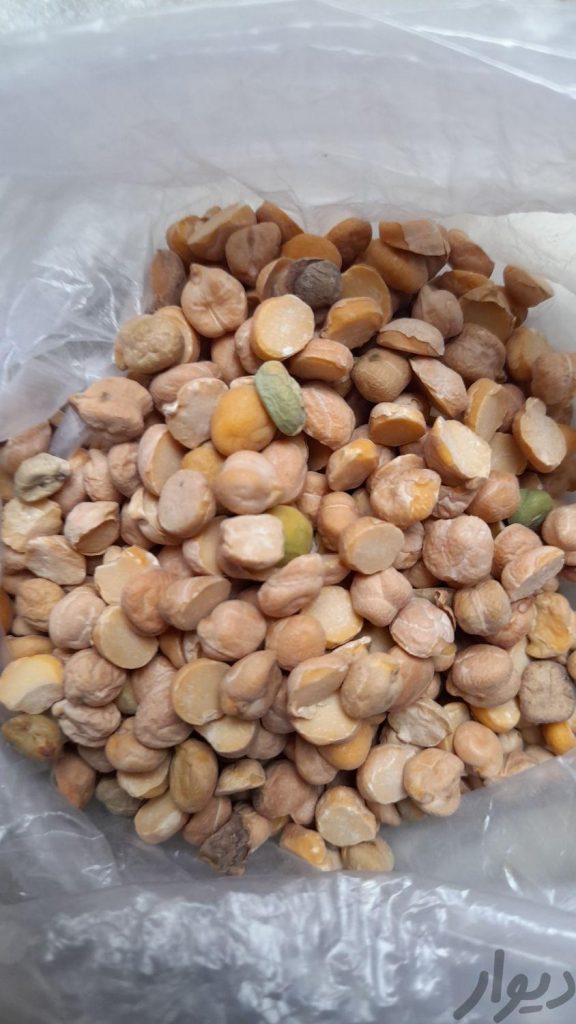 نخود فلافلی