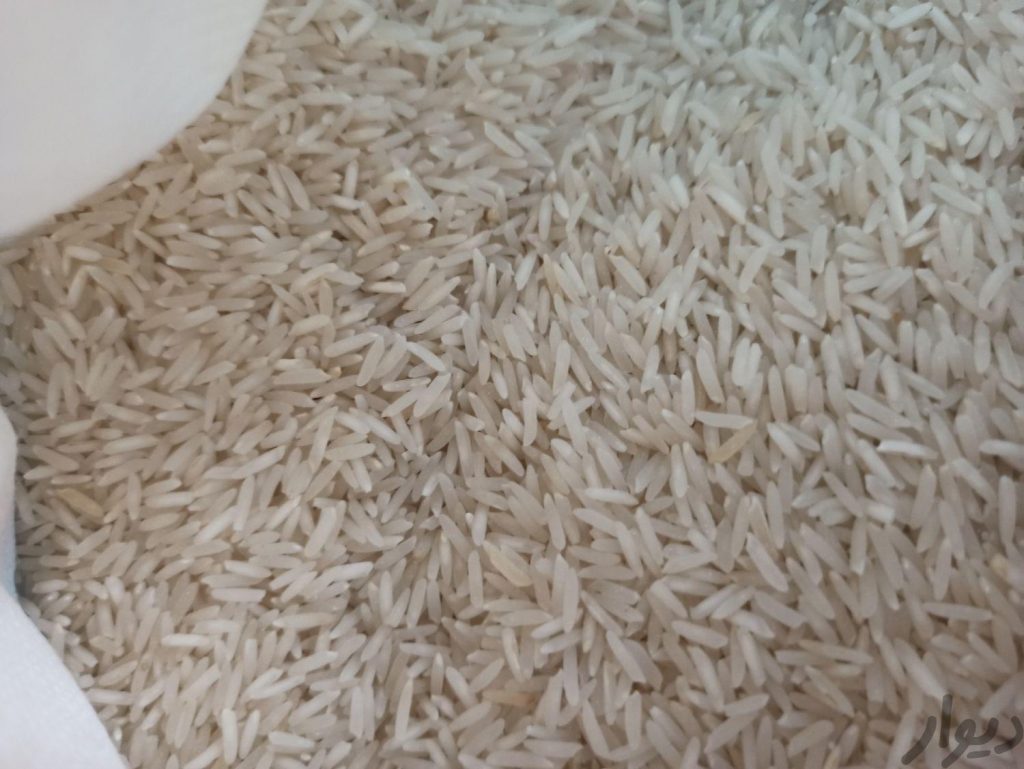 برنج هاشمی عمده