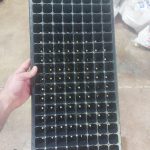 فروش انواع سینی کشت نشا گلخانه