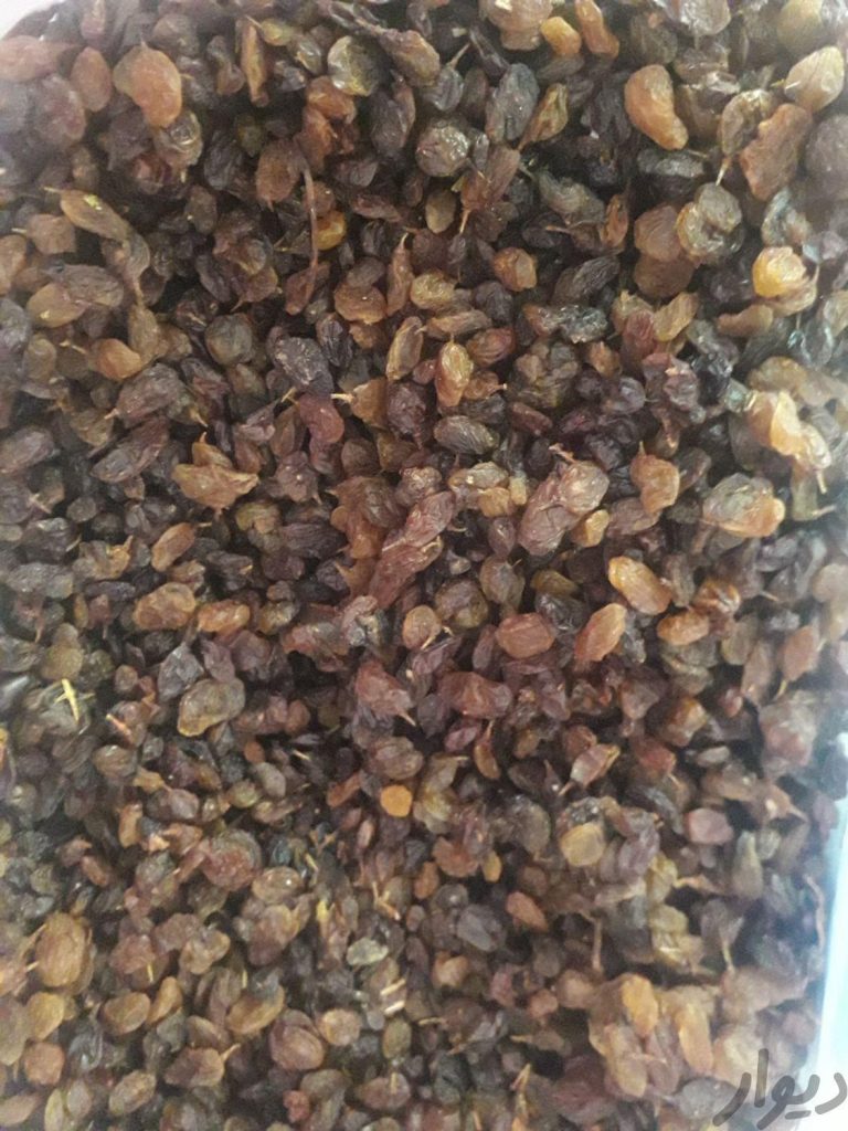 کشمش فخری و بیدانه تاکستان