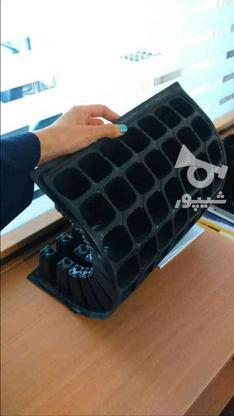 فروش سینی نشا