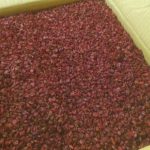 زرشک کشمش و زردچوبه خراسان در تهران