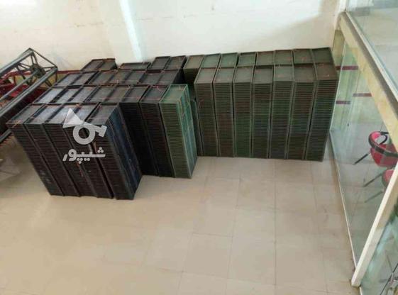 سینی نشا رنگ مشکی سبز