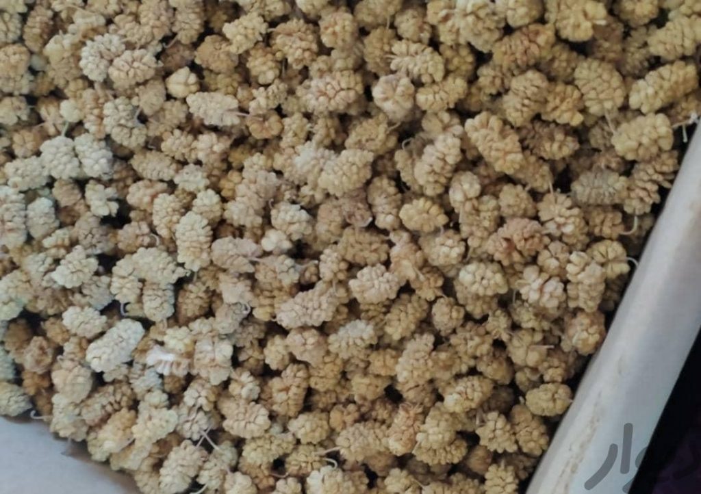 توت خشک پاوه