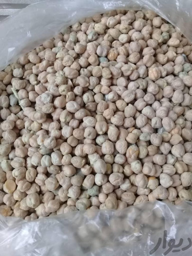 نخود امسالی بشرط پخت ۴۵هزار