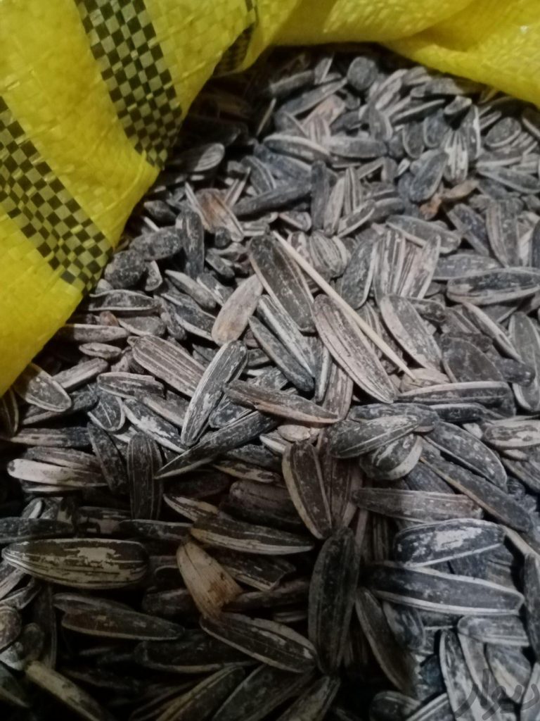 تخمه درجه یک